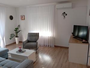 a living room with a couch and a chair and a tv at Apartments and Rooms Krizmanic in Smoljanac