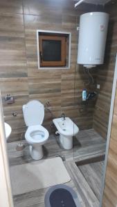 a bathroom with a toilet and a sink and a tv at Kuca za odmor Labud in Donji Milanovac +34 photos