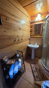 a bathroom with a sink and a shower and a toilet at Domek przy stajni in Wielki Głęboczek +14 photos