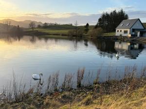 a swan swimming in a lake next to a house at Wallace Lodge in Crieff