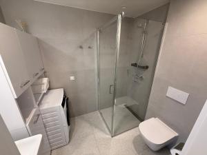 a bathroom with a shower and a toilet at Nameja Apartamenti in Riga