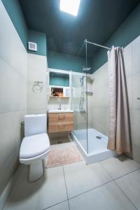 a bathroom with a toilet and a shower at Complex Rediu 54 Luxury Apartaments in Iaşi