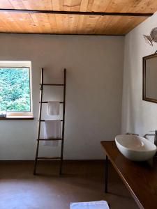 a bathroom with a sink and a shelf at La Mela Antica in Cherasco +21 photos