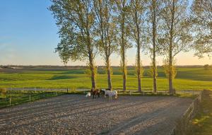 a group of people walking down a dirt road with trees at Ferienwohnung MOIN in Osdorf