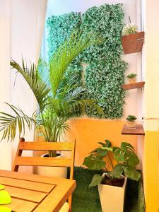 a room with plants and a table and a wall at Cozy & Secure 1BR Apartment in Central Luanda in Luanda