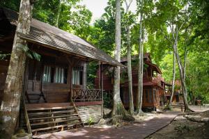 a wooden house in the middle of trees at Raja Ampat Dive Resort in Tapokreng