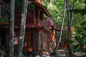 Tapokreng的住宿－拉賈安帕潛水度假酒店，森林中的一个树屋