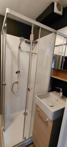 a bathroom with a shower and a sink at Le Désiré in Arras +3 photos