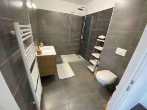 a bathroom with a toilet and a sink and a shower at Grand Studio AFA in Afa