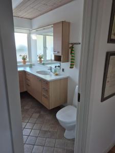 a bathroom with a toilet and a sink at Marias house i Agger in Vestervig