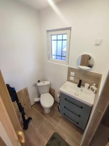 a bathroom with a toilet and a sink and a mirror at logement indépendant proche des plages in Aimargues