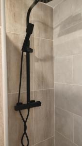 a shower with a shower head in a bathroom at logement indépendant proche des plages in Aimargues
