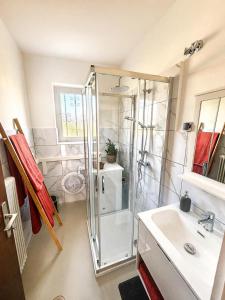 a bathroom with a shower and a sink at Ferienhaus "Kleine Auszeit" in Tieschen