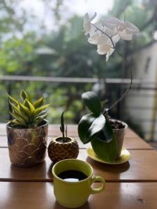 a table with a cup of coffee and potted plants at Casa hostal la herradura in San Vicente de Chucurí
