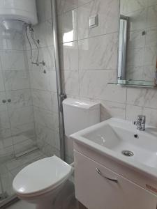 a bathroom with a toilet and a sink and a shower at Villa Strmec in Peštani +23 photos