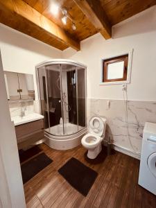 ein Badezimmer mit Dusche, Toilette und Waschbecken in der Unterkunft Cabana Backyard in Plopi