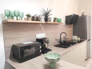 a kitchen with a coffee maker on a counter at River Apartman 2 in Odorheiu Secuiesc