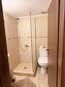a bathroom with a toilet and a glass shower at Pensiunea Laura in Chişcău +35 photos