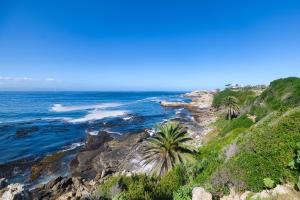 an aerial view of a rocky beach with palm trees at Walk Waterfront CliffPath Fireplace Secure-Parking in Hermanus