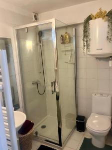 a bathroom with a shower and a toilet and a sink at Good Vibes in Grenoble