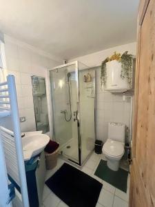 a bathroom with a shower and a toilet and a sink at Good Vibes in Grenoble