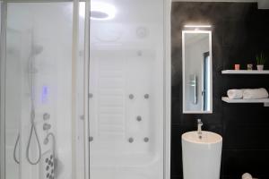 a bathroom with a shower and a sink and a mirror at Chablis SPA Premier Cru in Chablis