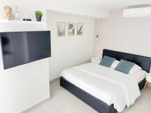 a bedroom with a bed and a large tv at Chablis SPA Premier Cru in Chablis