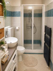 a bathroom with a shower and a toilet and a sink at Oxygen Riva del Garda Monolocale con Balcone e Bike Room in Riva del Garda +5 photos