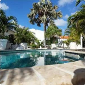 a swimming pool with palm trees in the background at Chez Lilly in Oranjestad