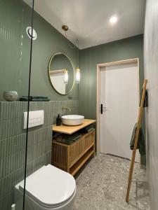 a bathroom with a toilet and a sink and a mirror at Winnica Przybysławice in Przybysławice