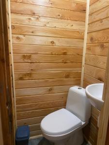 a bathroom with a toilet and a sink at Агрооселя Ростоки in Zhdanivka