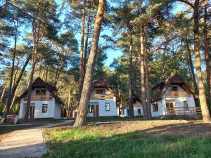 a house in the woods with trees at Domki nad Wierną Rzeką in Chęciny