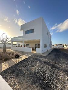 a white house with a dog walking in front of it at Kasa n'areia, Praia Estoril in Sal Rei