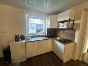 a small kitchen with a stove and a microwave at Hauspark Residence in Žatec