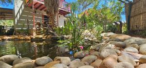 a pond with rocks in front of a house at Self-catering Garden Cottage in Oudtshoorn