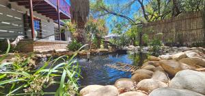 a pond in the backyard of a house at Self-catering Garden Cottage in Oudtshoorn