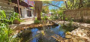 a pond in the yard of a house at Self-catering Garden Cottage in Oudtshoorn