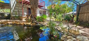 a house with a pond in front of a house at Self-catering Garden Cottage in Oudtshoorn