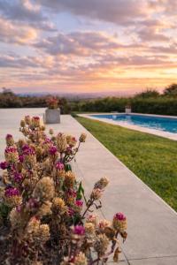 a pathway with flowers next to a swimming pool at Casa refugio in Santa María