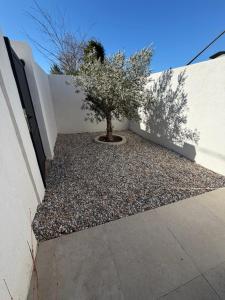 a tree in a gravel area next to a wall at L'instant étoilé in Châteauneuf-lès-Martigues +2 photos