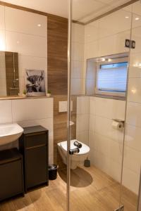 a bathroom with a toilet and a sink and a shower at Auszeit im Sauerland in Meschede +19 photos