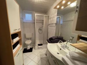 a bathroom with a shower and a sink and a toilet at Ferienhaus Heidi in Lam