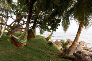 a hammock hanging from palm trees on the beach at Guesthouse Island Escape in Corn Islands