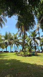 a park with palm trees on the beach at Guesthouse Island Escape in Corn Islands