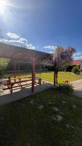 a picnic shelter with a picnic table in a park at Apartman Ládi in Veľký Meder