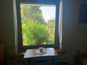 a table with a cup on it in front of a window at Chata za Wsią u Kowalików in Skała