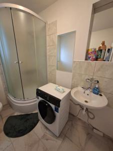 a bathroom with a washing machine and a sink at Byt v okresu Děčin in Dolní Habartice