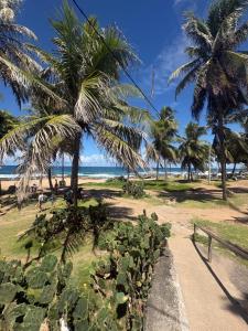 a beach with palm trees and the ocean at Aconchego estrada do coco in Camaçari