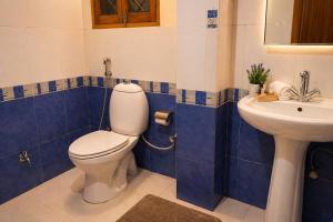 a bathroom with a toilet and a sink at The Regal IVY Hotel in Nainital