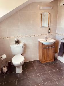a bathroom with a toilet and a sink at 21 Killarney Holiday Village in Killarney +33 photos